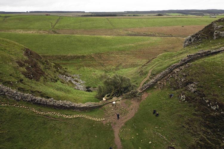 Deliberations begin in UK trial of men accused of felling Sycamore Gap tree