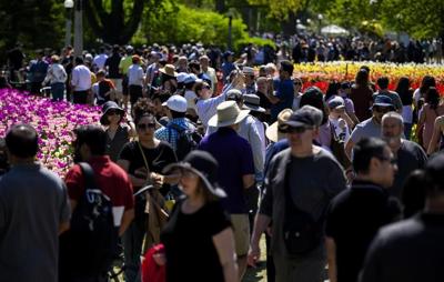 Advocates urge collection of race-based data via health cards to address inequities
