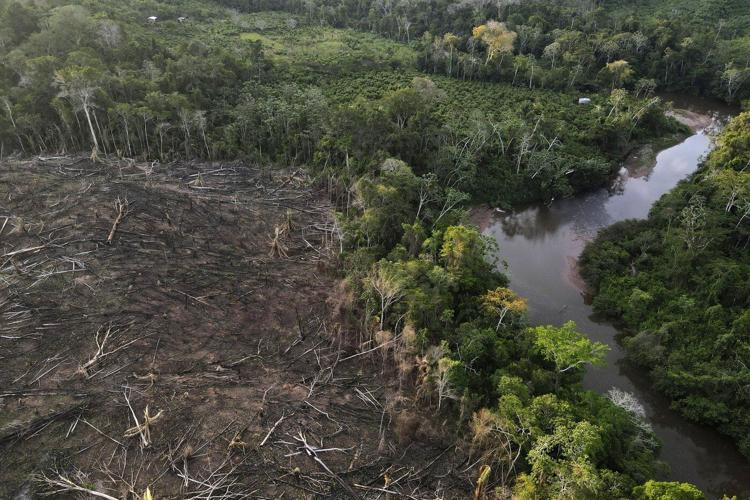 Peru court rules in favor of Kichwa territorial rights in the Amazon