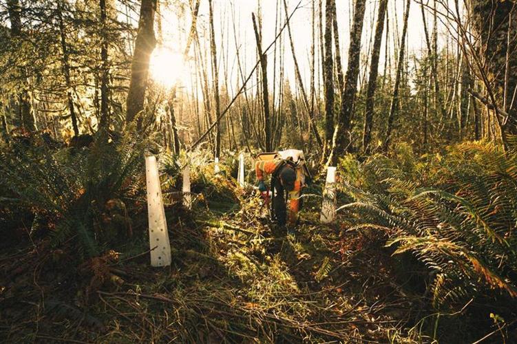 Vancouver Island First Nations gain control of three Clayoquot Sound forestry areas