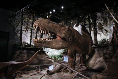 Alberta government offering its own museum freebies as part of Canada Strong pass