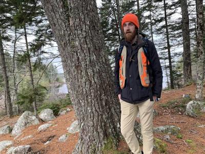 In Halifax, a call to promote old-growth forests as a guard against future wildfires