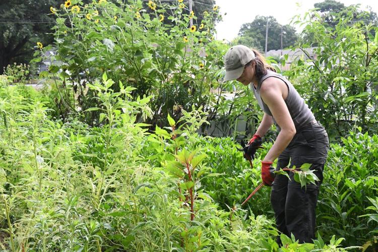 How one gardener's neighbors shared their land to help her start a flower business