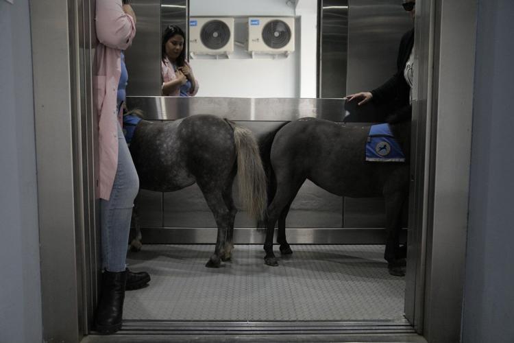 PHOTO COLLECTION: AP Top Photos of the Day, Friday, December 13, 2024