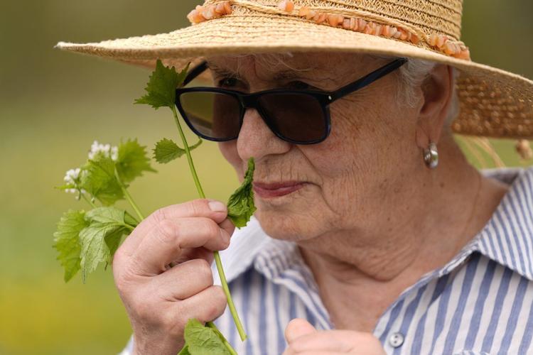 Foraging revival: How wild food enthusiasts are reconnecting with nature