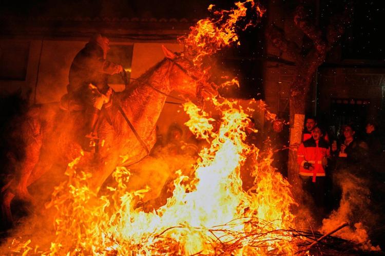 Photos of horses leaping through flames in centuries-old Spanish tradition