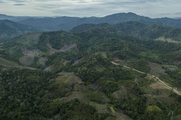 South Korean politician calls for investigation of biomass energy material imported from Indonesia