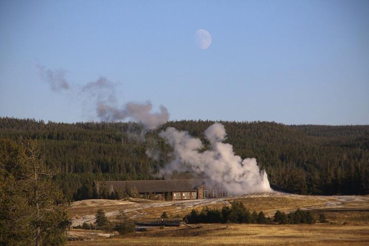 Bison gores man in Yellowstone after visitors get too close