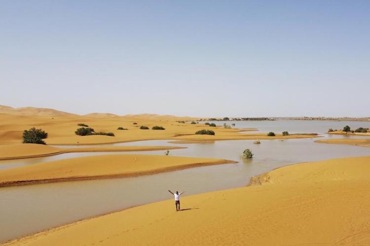 Water gushes through palm trees and sand dunes after rare rain in the Sahara Desert