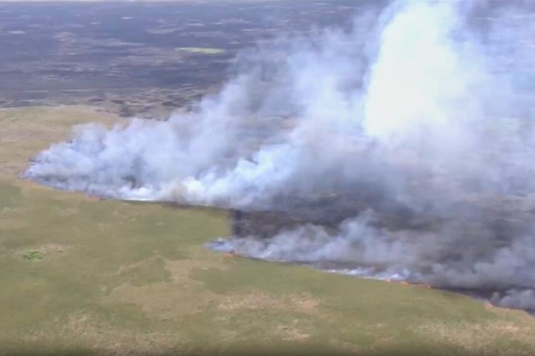 Wildfires across Georgia and Florida have destroyed nearly 50 homes and are forcing evacuations