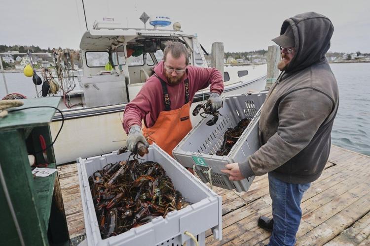 Fishermen battling with changing oceans chart new course after Trump's push to deregulate