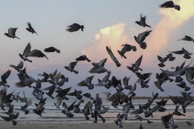 PHOTO COLLECTION: AP Top Photos of the Day, Wednesday, December 4, 2024