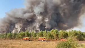 French firefighters continue to battle wildfires in forests west of Bordeaux