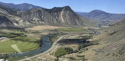 A man kills a grizzly bear in Montana after it attacks while he is picking berries