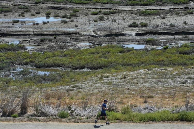 Coastal communities restoring marshes, dunes, reefs to protect against rising seas and storm surges