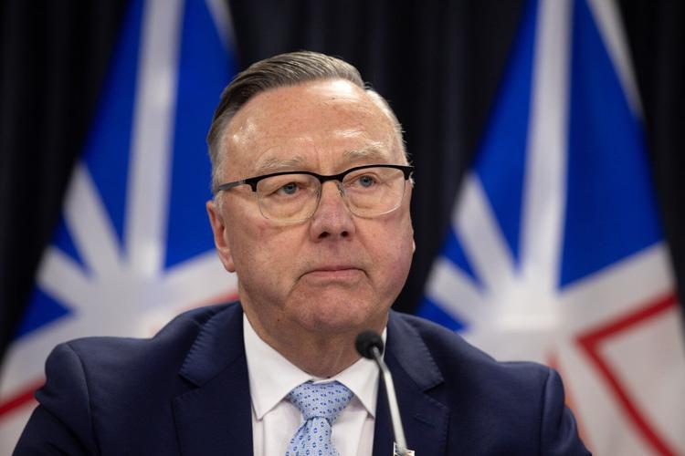 Panel concludes Quebec energy deal not in Newfoundland and Labrador's best interests