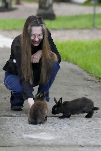 Fuzzy invasion of domestic rabbits has a Florida suburb hopping into a hunt for new owners