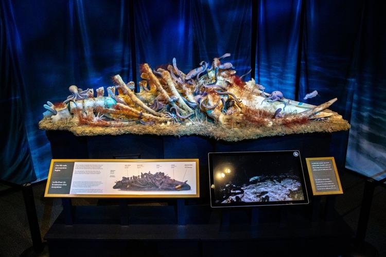 'Death is everywhere:' Alberta art exhibit on mortality is actually full of life