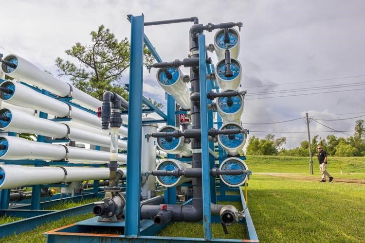 Louisiana citrus farmers are seeing a mass influx of salt water that could threaten seedlings