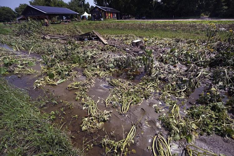 Small farmers hit by extreme weather could get assistance from proposed insurance program