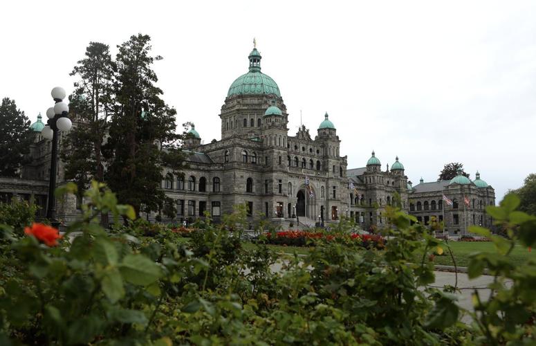MLA wants to scrap B.C.'s Human Rights Code. Some constituents want her gone instead