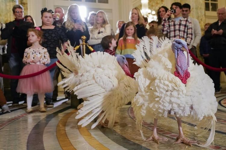 Biden is spending his 81st birthday honoring White House tradition of pardoning Thanksgiving turkeys