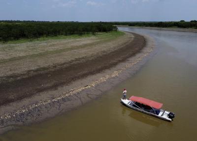 More than 100 dolphins found dead in Brazilian Amazon as water temperatures soar
