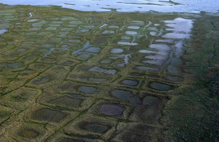 Biden administration restricts oil and gas leasing in 13 million acres of Alaska's petroleum reserve