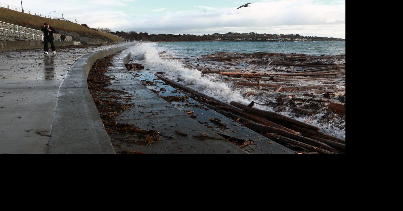 Surrey woman dead after tree falls during B.C windstorm Saturday | BC ...