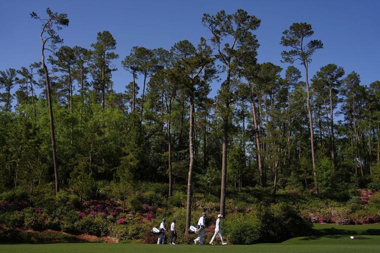 Hurricane Helene hit Augusta ��ɫtv last summer. What it left is noticeable, not necessarily bad