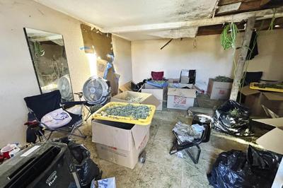 Dozens of smuggled people found working in 'horrible' conditions at illegal California pot plant