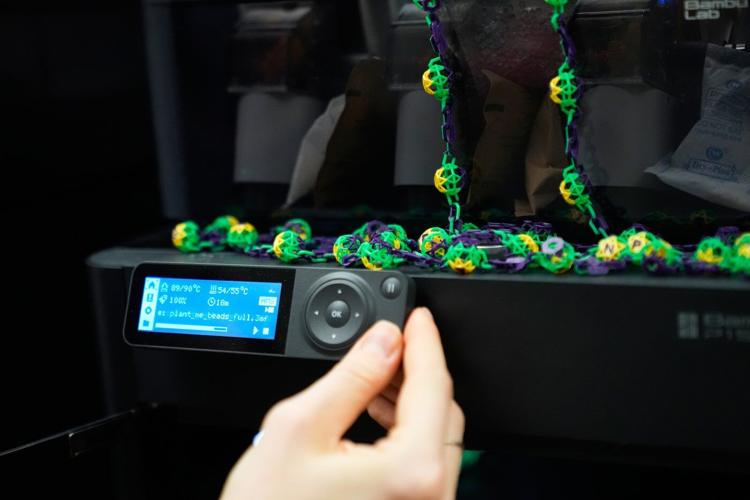 Biodegradable Mardi Gras beads help make Carnival season more sustainable
