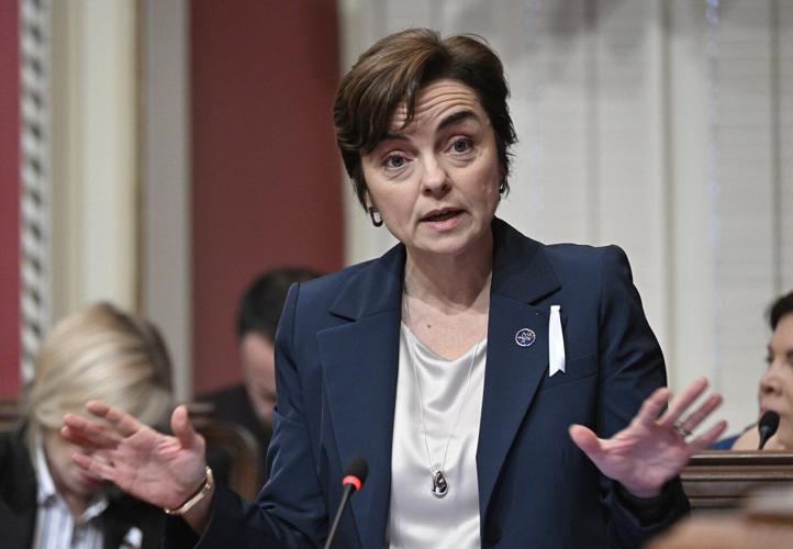 A look at some potential candidates for the Coalition Avenir Québec leadership