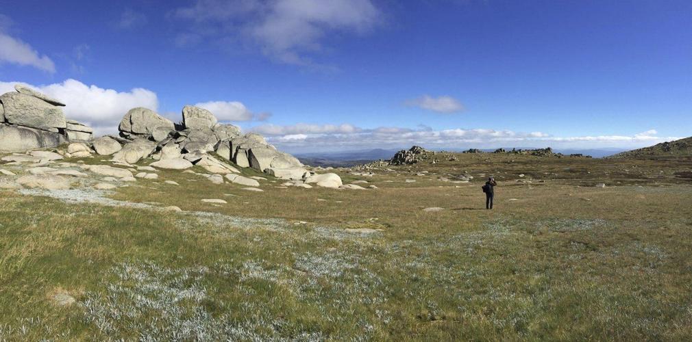 Meet the bug that uses the stars to navigate hundreds of miles