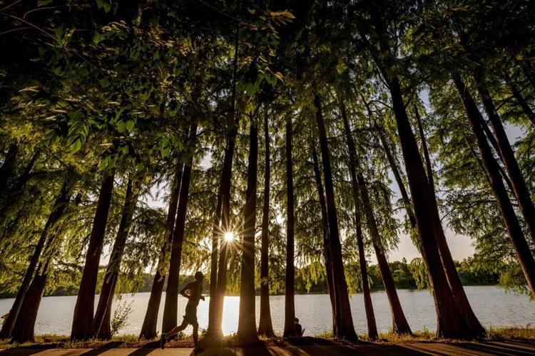 'It's hell outside': Sizzling heat wave in parts of southern and central Europe prompts alerts