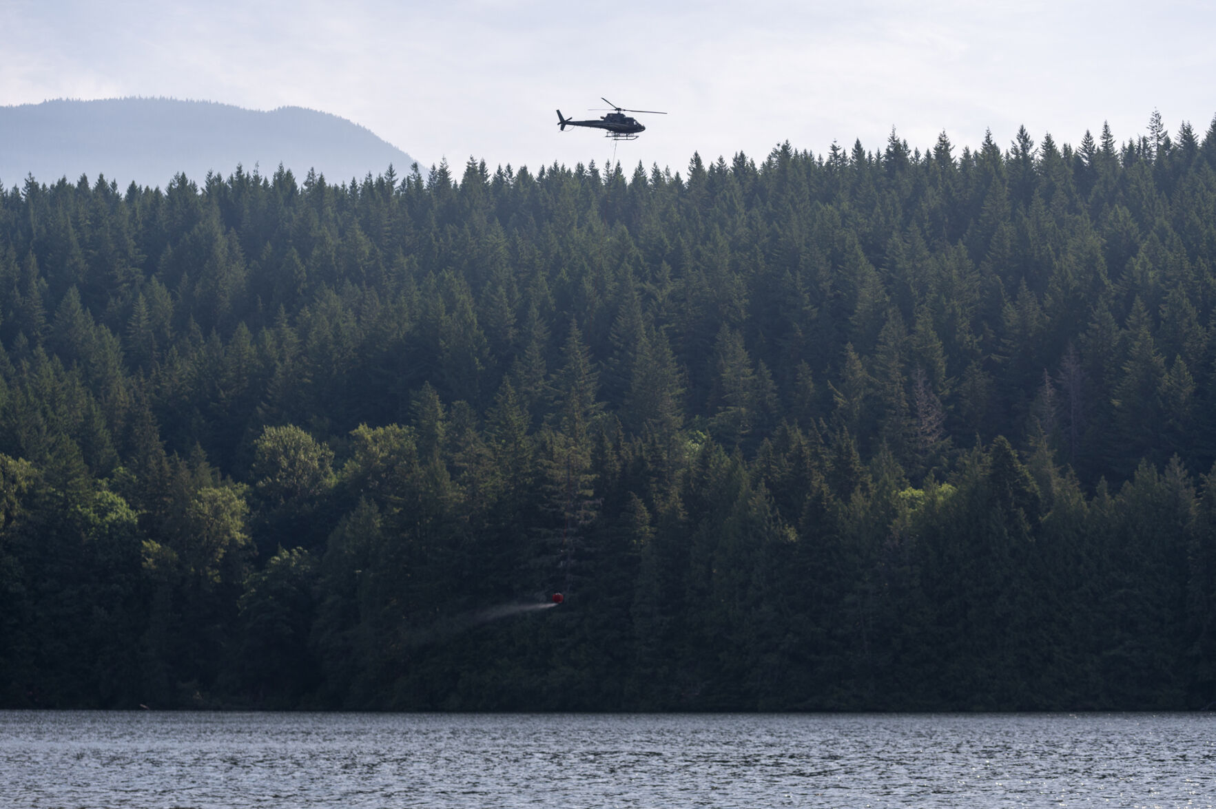 Cda-Wildfire-Gallery 10