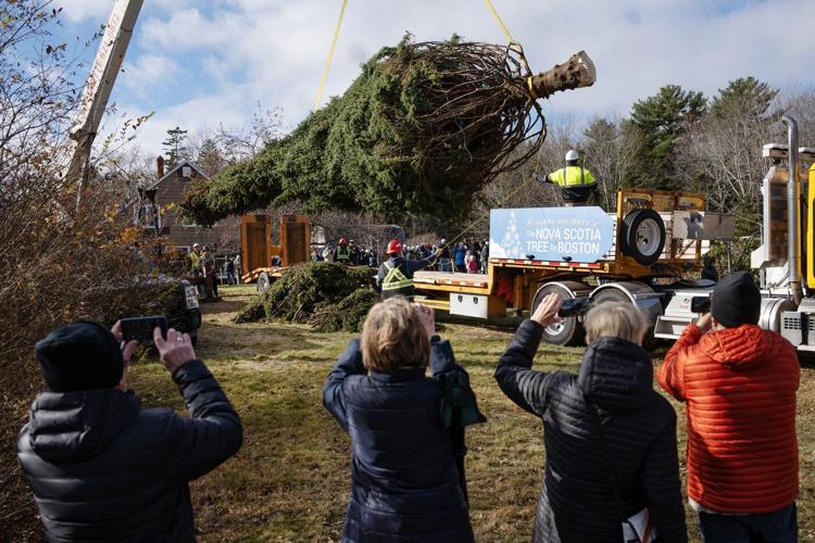 Photo Gallery: Annual N.S. Christmas tree gift en route to Boston