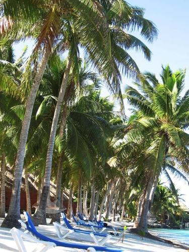 South Pacific leaders will meet on the stunning island of Aitutaki to discuss climate change