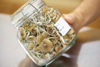 Quebec religion wants Health Canada's blessing to use magic mushrooms in ceremonies