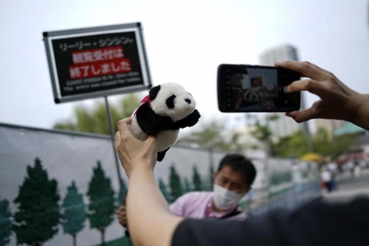 Japanese fans bid farewell to beloved panda pair before their return to China