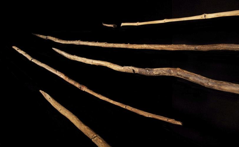 Ancient wooden spears found in Germany may have been wielded by Neanderthals, a new study suggests