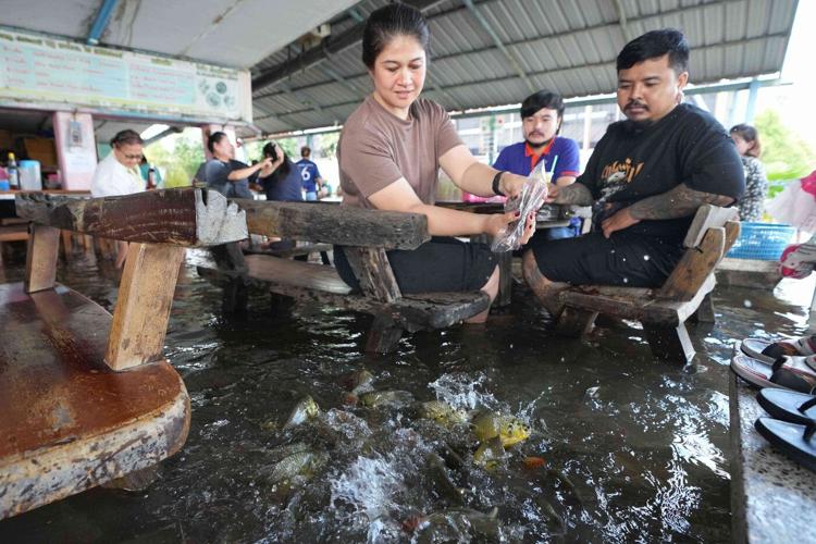 A flooded restaurant in Thailand brings delight with swimming fish among diners