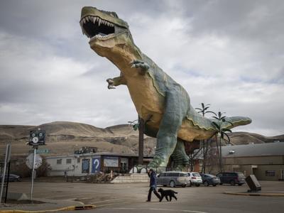 Beloved monster-sized Alberta dinosaur set for tests ahead of possible extinction