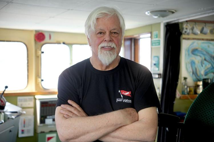 Deported 好色tv activist calls anti-whaling mission a success despite ship capture