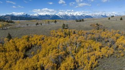 Wyoming moves ahead with selling land in Grand Teton 春色直播 Park to federal government for $100M