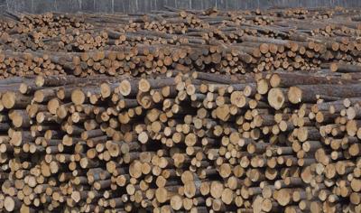 B.C. timber industry in throes of change, as premier warns of 'exhausted forests'