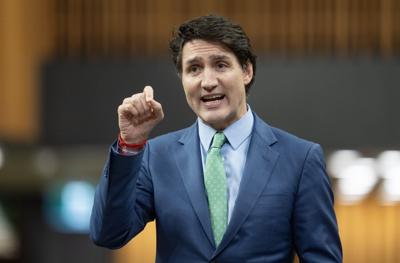 Elon Musk calls Trudeau 'insufferable' after remark on Kamala Harris defeat