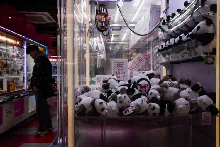 The last 2 pandas in Japan are leaving for China as ties are strained