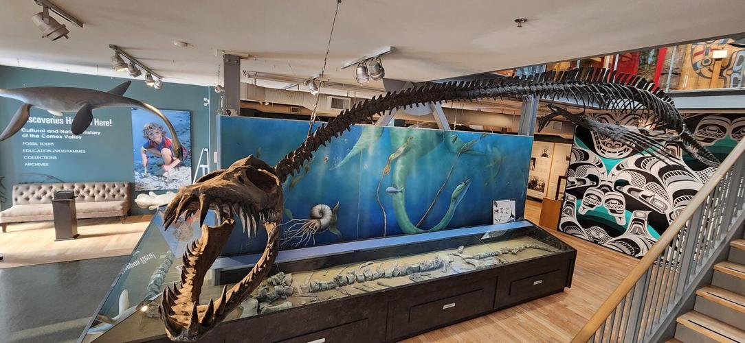 Fierce-looking B.C. fossil confirmed as new genus, days after death of discoverer