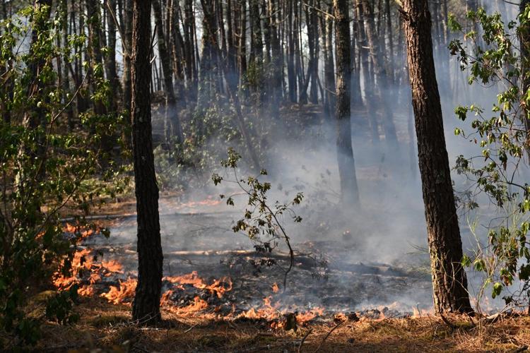 France battles wildfire 4 times the size of Paris as soaring heat threatens new surge